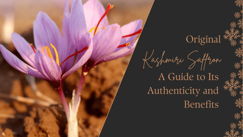 Genuine Kashmiri Saffron Authenticity And Benefits