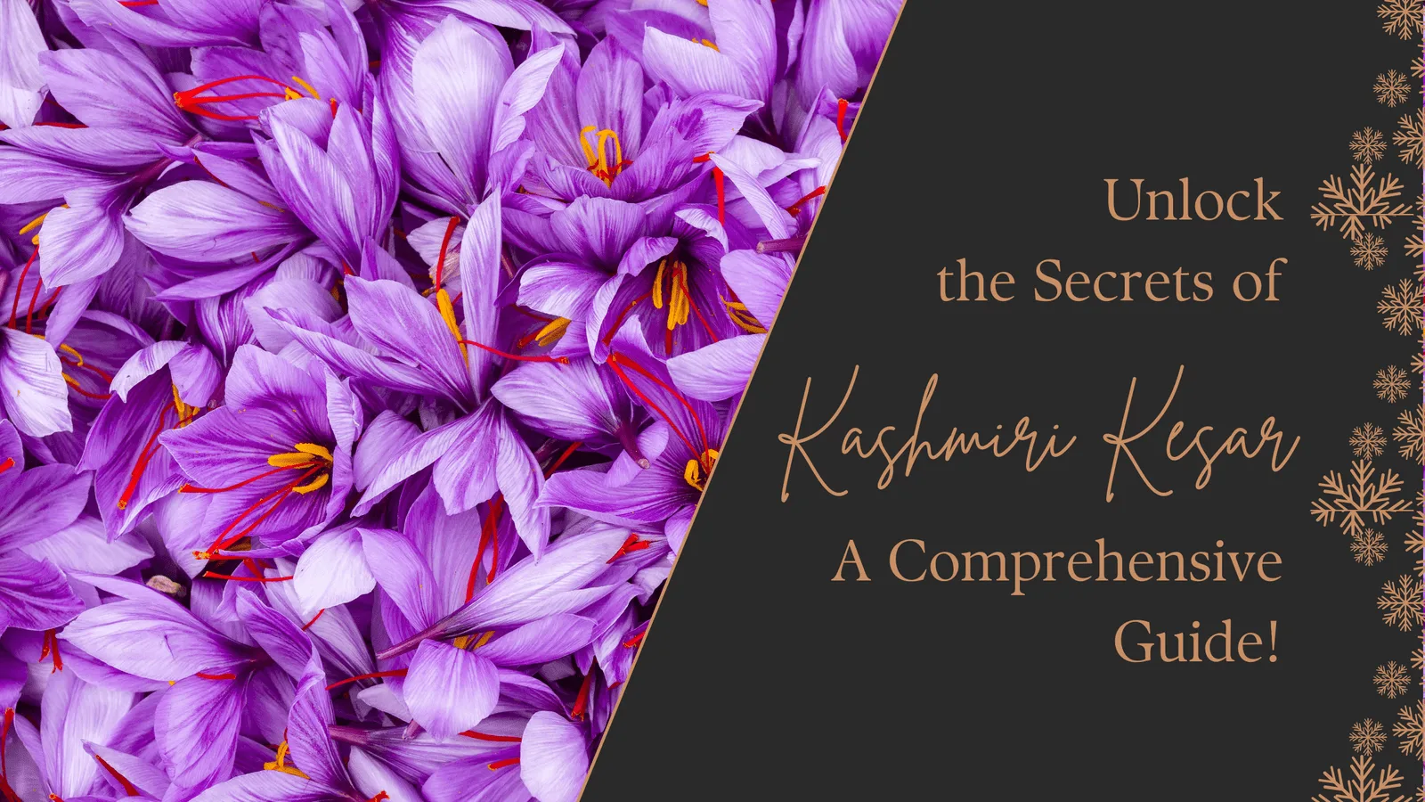 Unlock the Secrets of Original Kashmiri Kesar: A Comprehensive Guide!