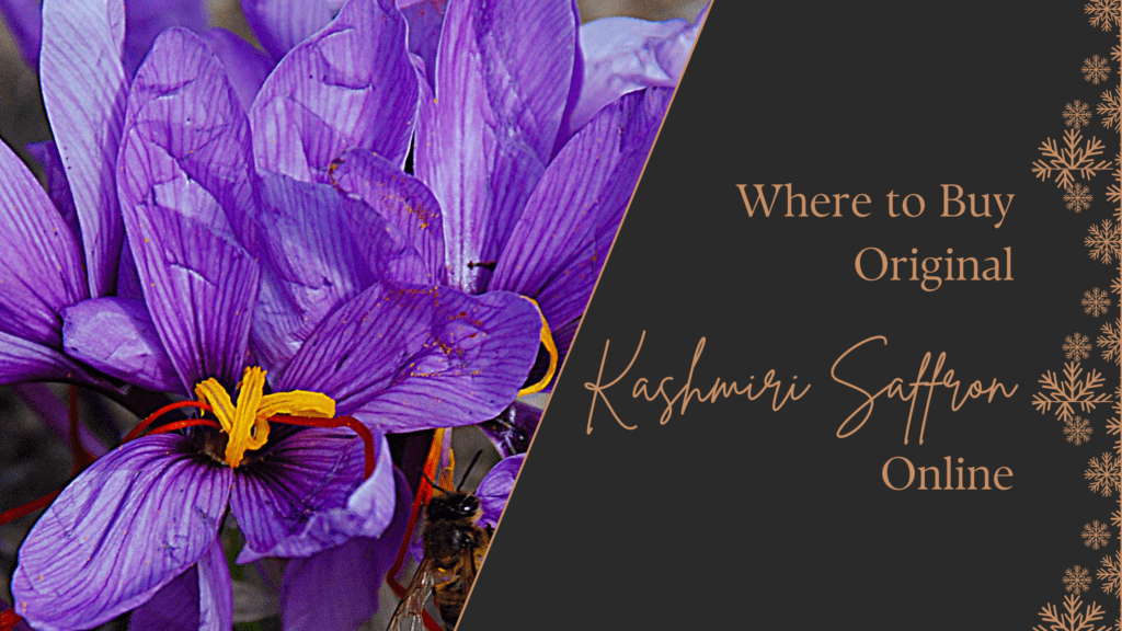 Where to Buy Original Kashmiri Saffron Online