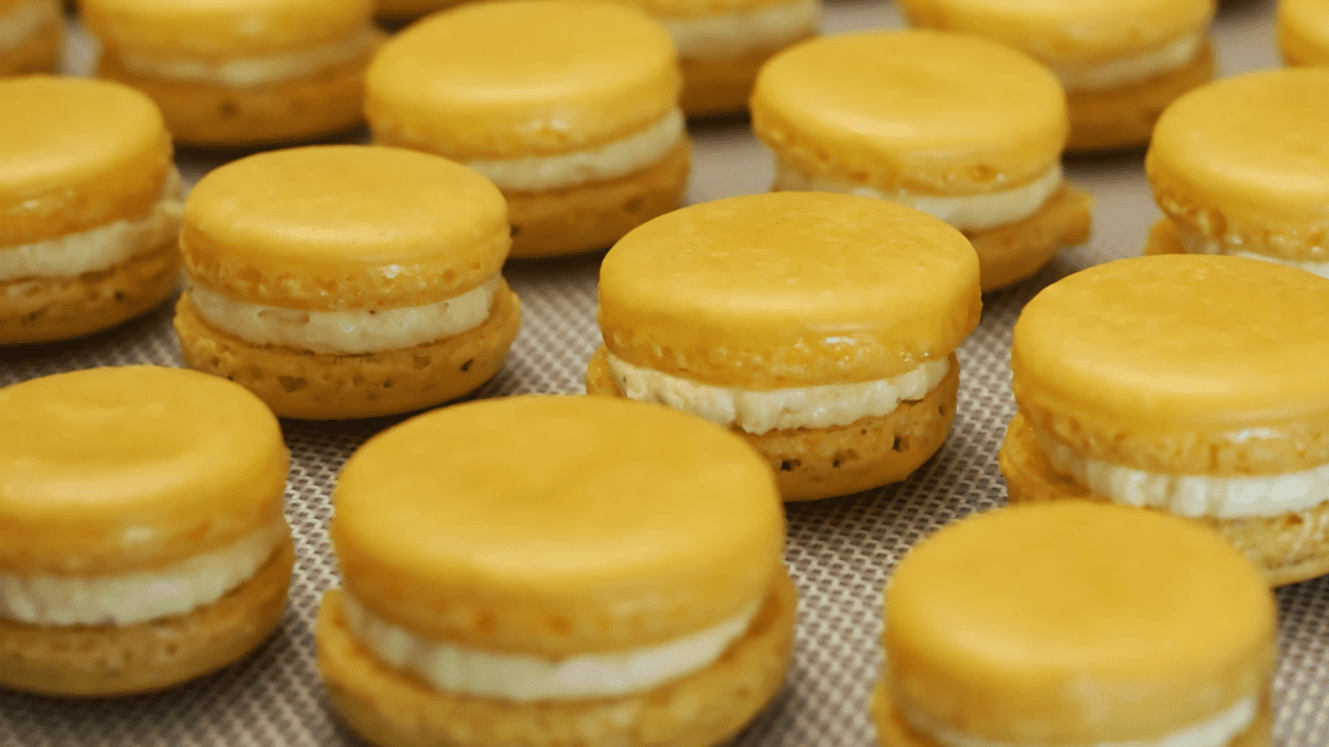 Saffron Macarons with creamy saffron filling, elegantly plated.