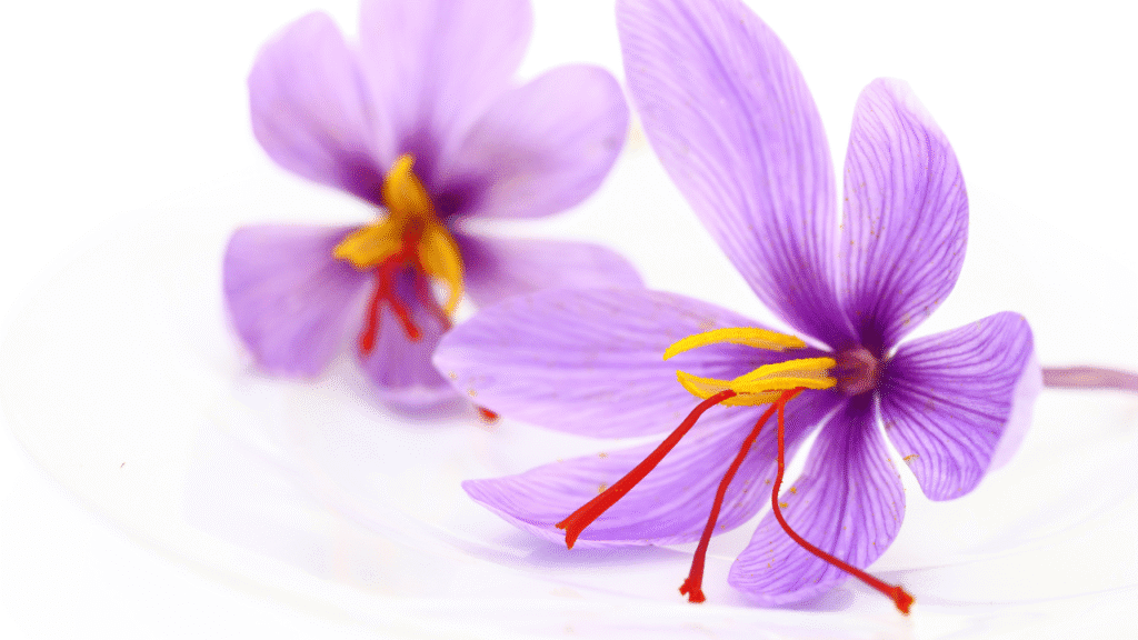 Best Saffron Brand: Complete Guide to Top Saffron Brands