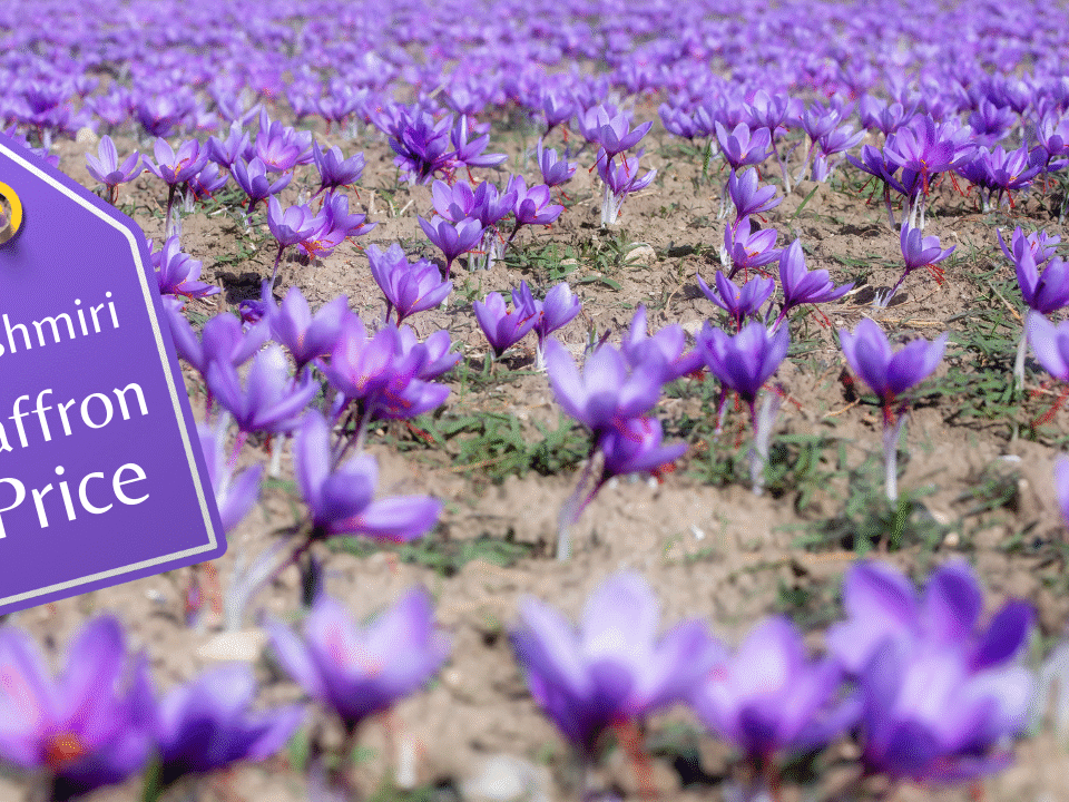 Kashmiri Saffron Price 2025 guide