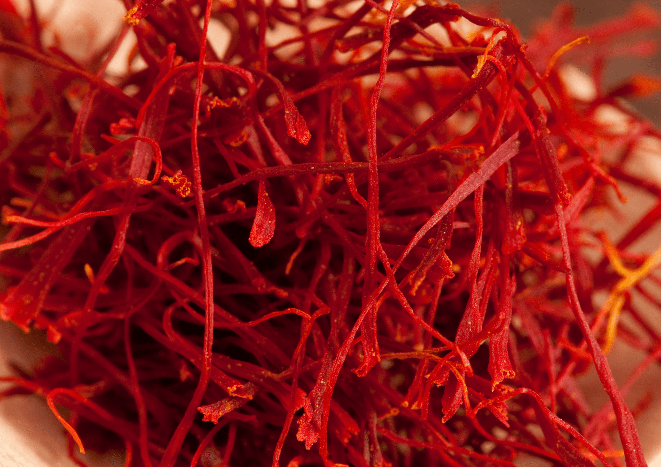 wholesale kashmiri saffron 1kg